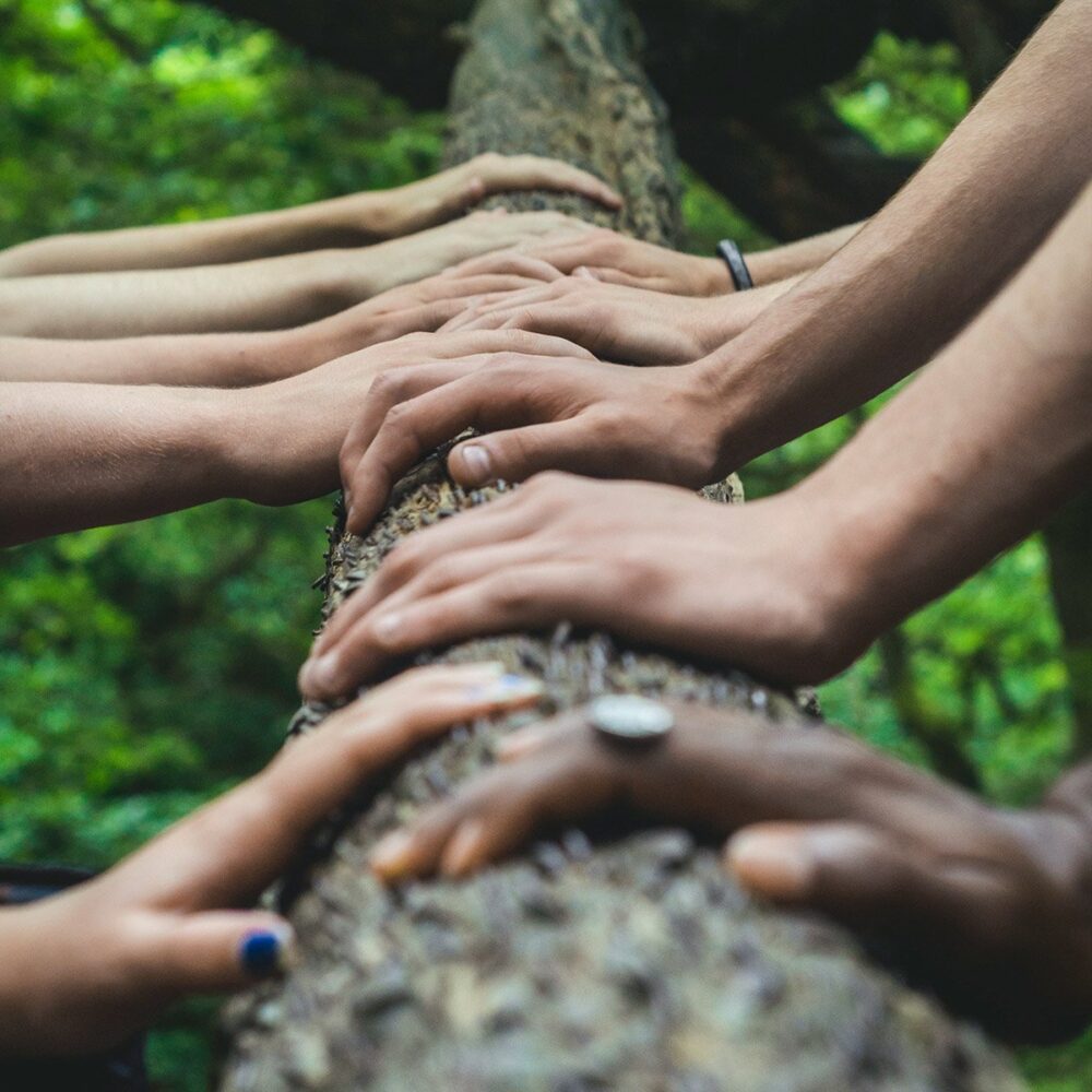 Hands on a tree